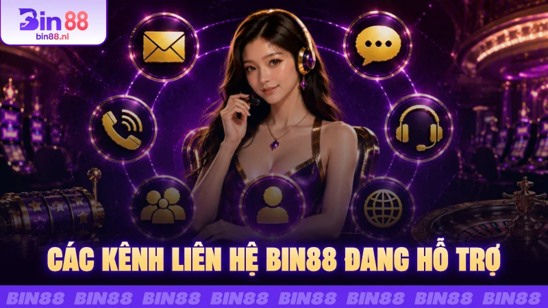 Các kênh liên hệ BIN88 đang hỗ trợ