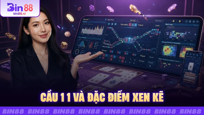 Cầu 1 1 và đặc điểm xen kẽ