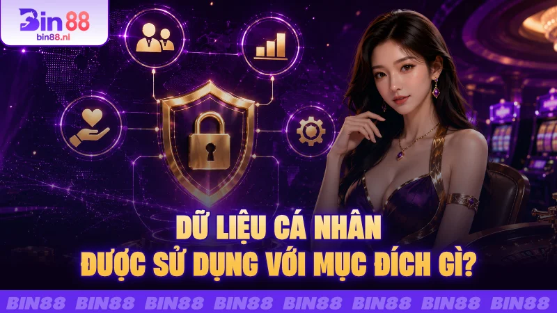 Dữ liệu cá nhân được sử dụng với mục đích gì?