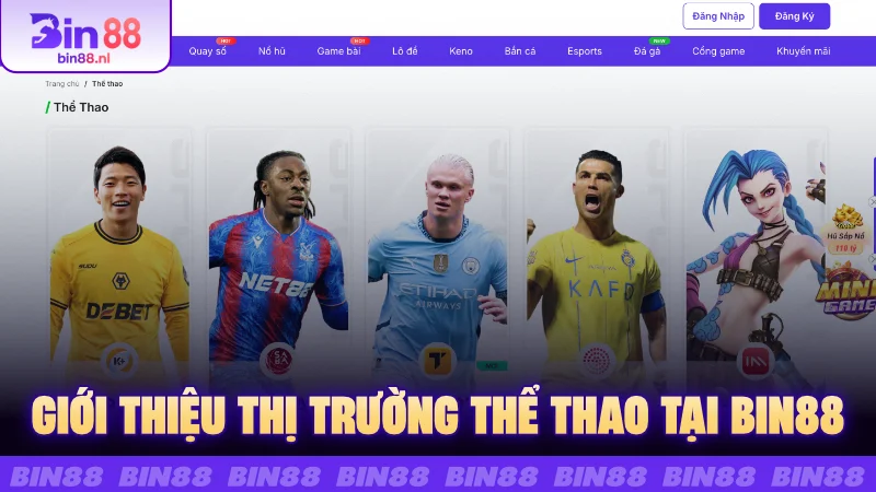 Giới thiệu thị trường thể thao tại Bin88