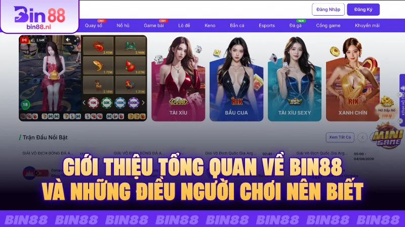 Giới thiệu tổng quan về BIN88 và những điều người chơi nên biết