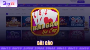 Bài cào