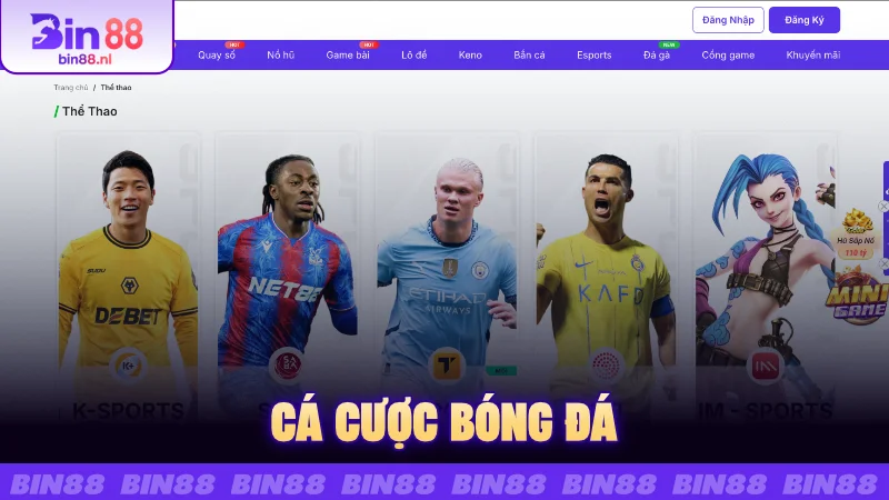 Cá cược bóng đá