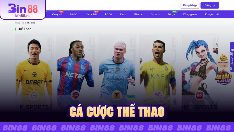 Cá Cược Thể Thao